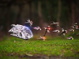 Jointing miniatűr világa I.